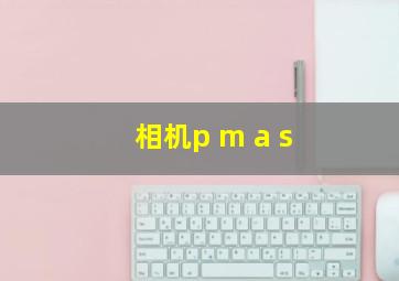 相机p m a s